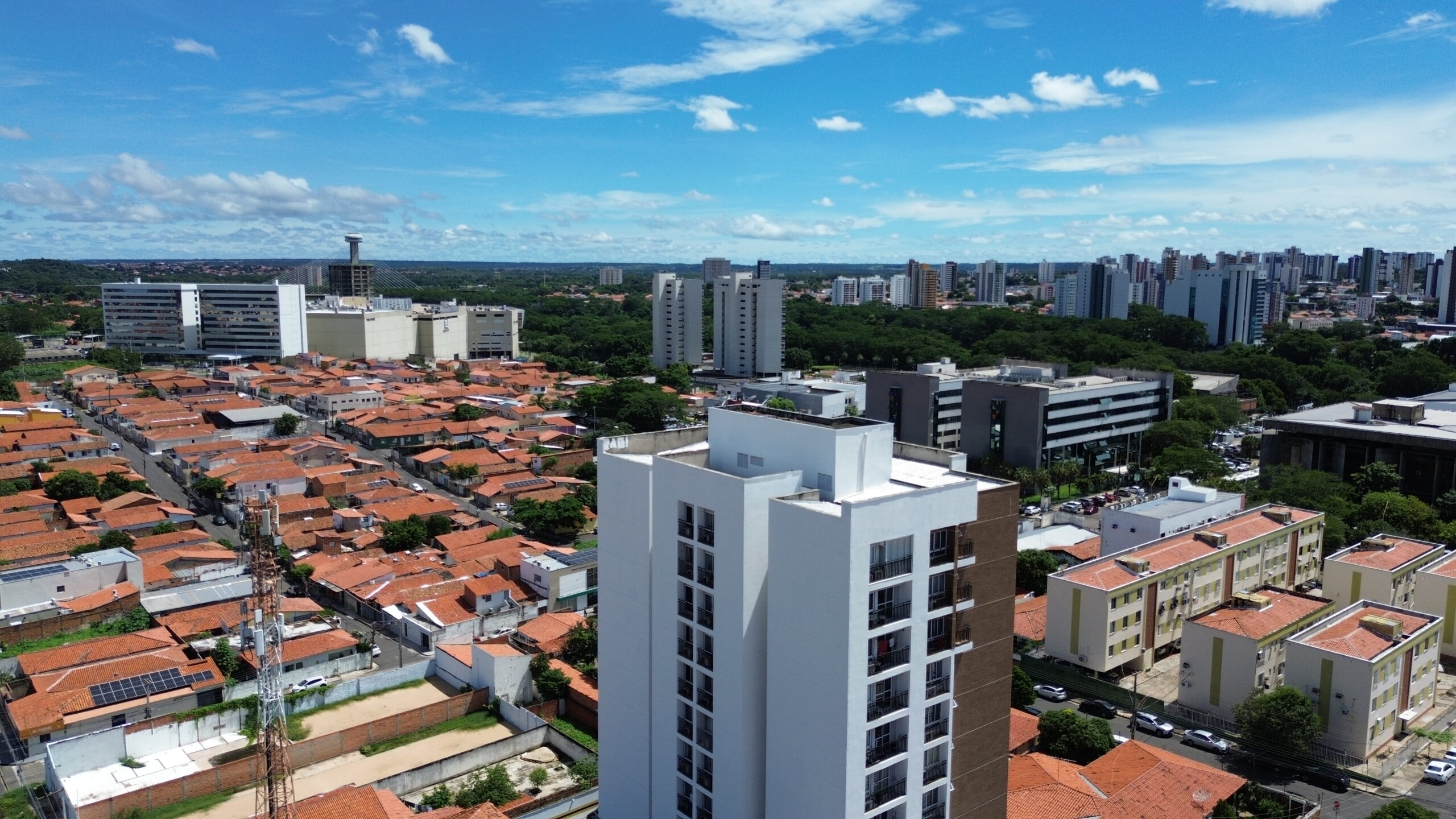 DCIM100MEDIADJI_0974.JPG